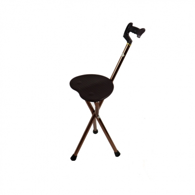Camping Chair